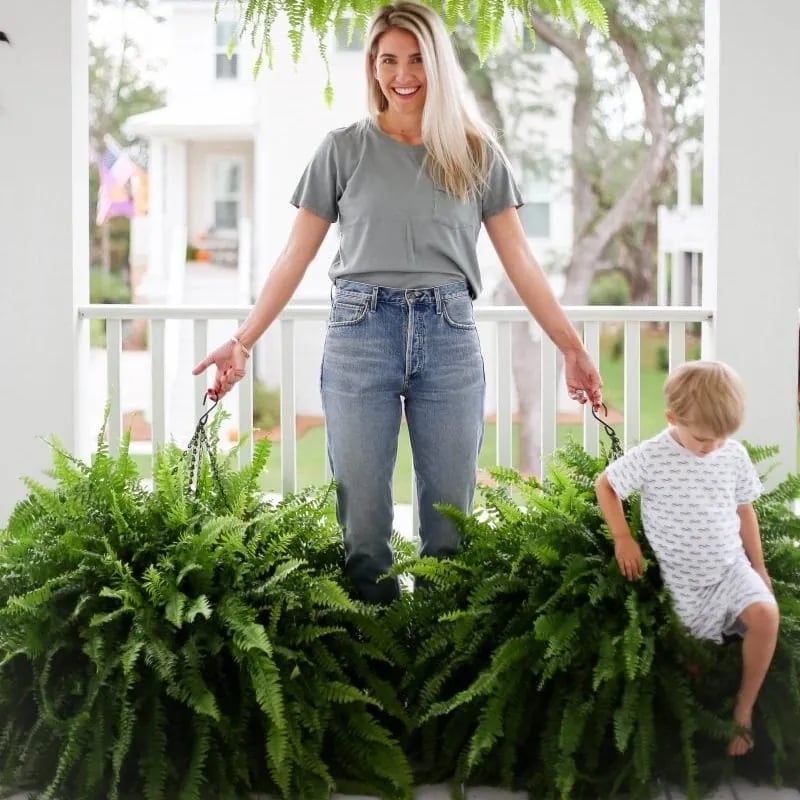 🏆 50K+ SOLD!🔥🌱 UV-Resistant Lifelike Artificial Boston Fern