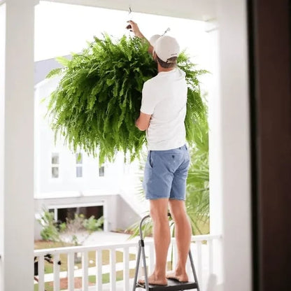🏆 50K+ SOLD!🔥🌱 UV-Resistant Lifelike Artificial Boston Fern